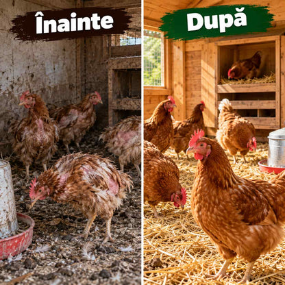 Pudră anti-păduchi pentru găini NaturFerm™